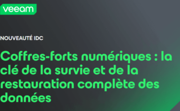 Comment les cyber-coffres-forts peuvent garantir la survie absolue des données et permettre une restauration complète